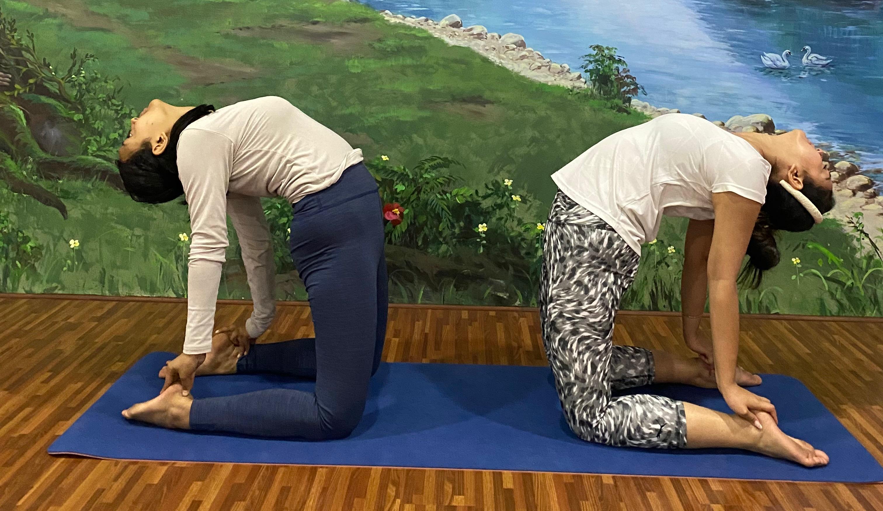 Yoga for Menopause: Poses, Breathing, and Lifestyle Tips for Every Woman